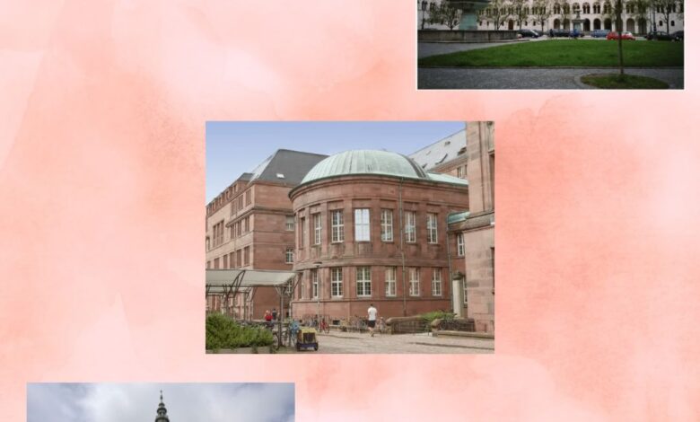 Which University in Germany teach in English?