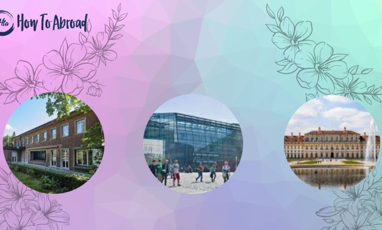 - Everything You Need to Know