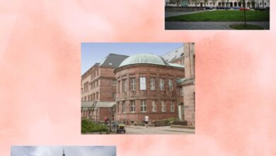 Which University in Germany teach in English?