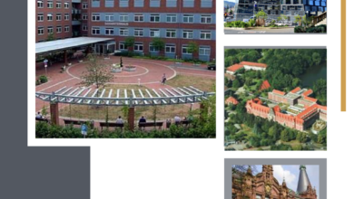 Study Medicine in Germany