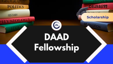 DAAD Fellowship