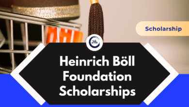 Heinrich Böll Foundation Scholarships