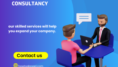 Education Consultancy