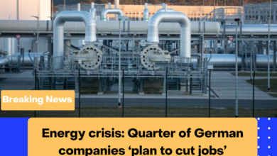 Energy crisis Quarter of German companies ‘plan to cut jobs’