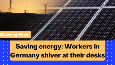 Saving energy Workers in Germany shiver at their desks