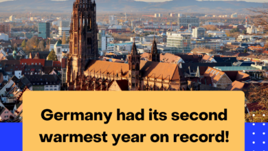 Germany had its second warmest year on record!
