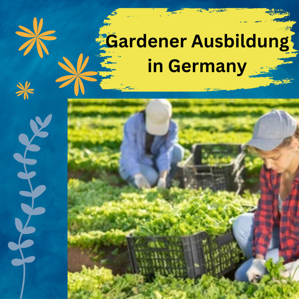 gardener-ausbildung-in-germany-everything-you-need-to-know-how-to-abroad