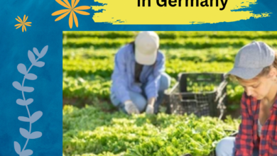Gardener Ausbildung in Germany