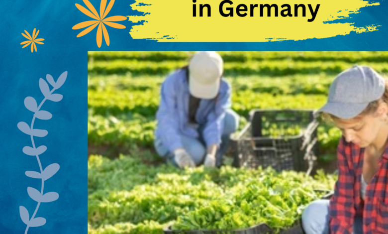 Gardener Ausbildung in Germany