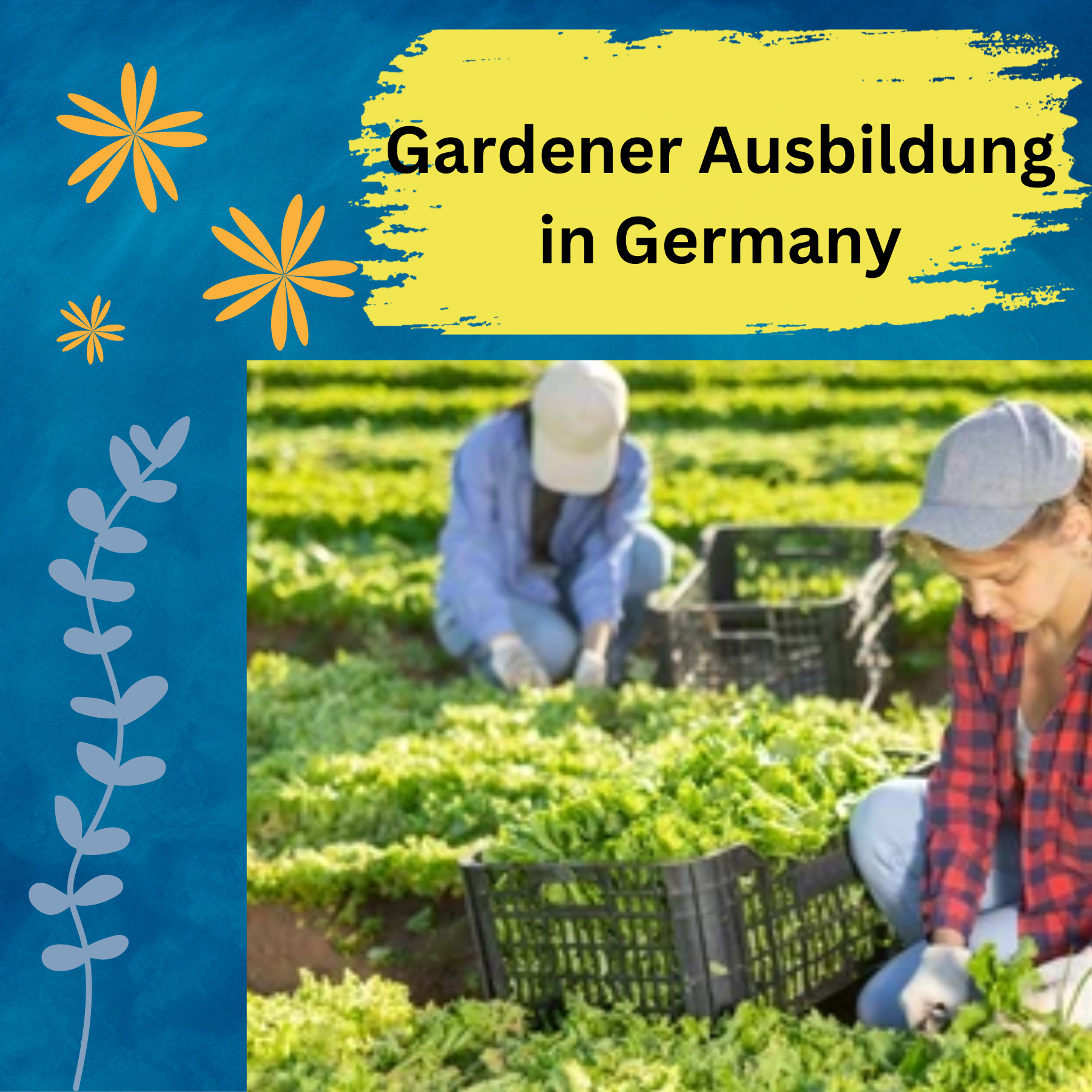 Gardener Ausbildung in Germany
