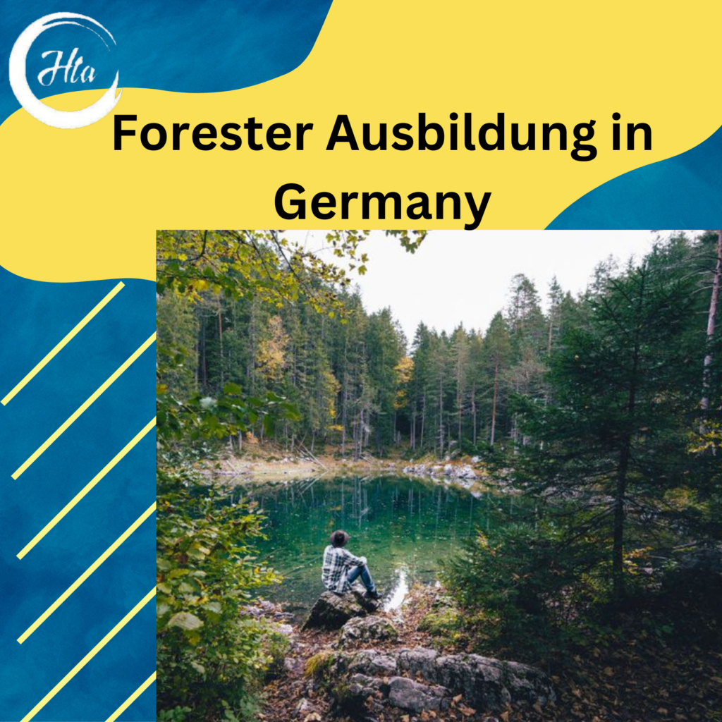 forester-ausbildung-in-germany-everything-you-need-to-know-how-to-abroad