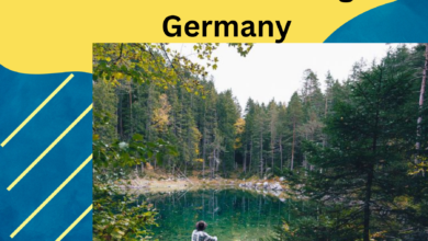 Forester Ausbildung in Germany