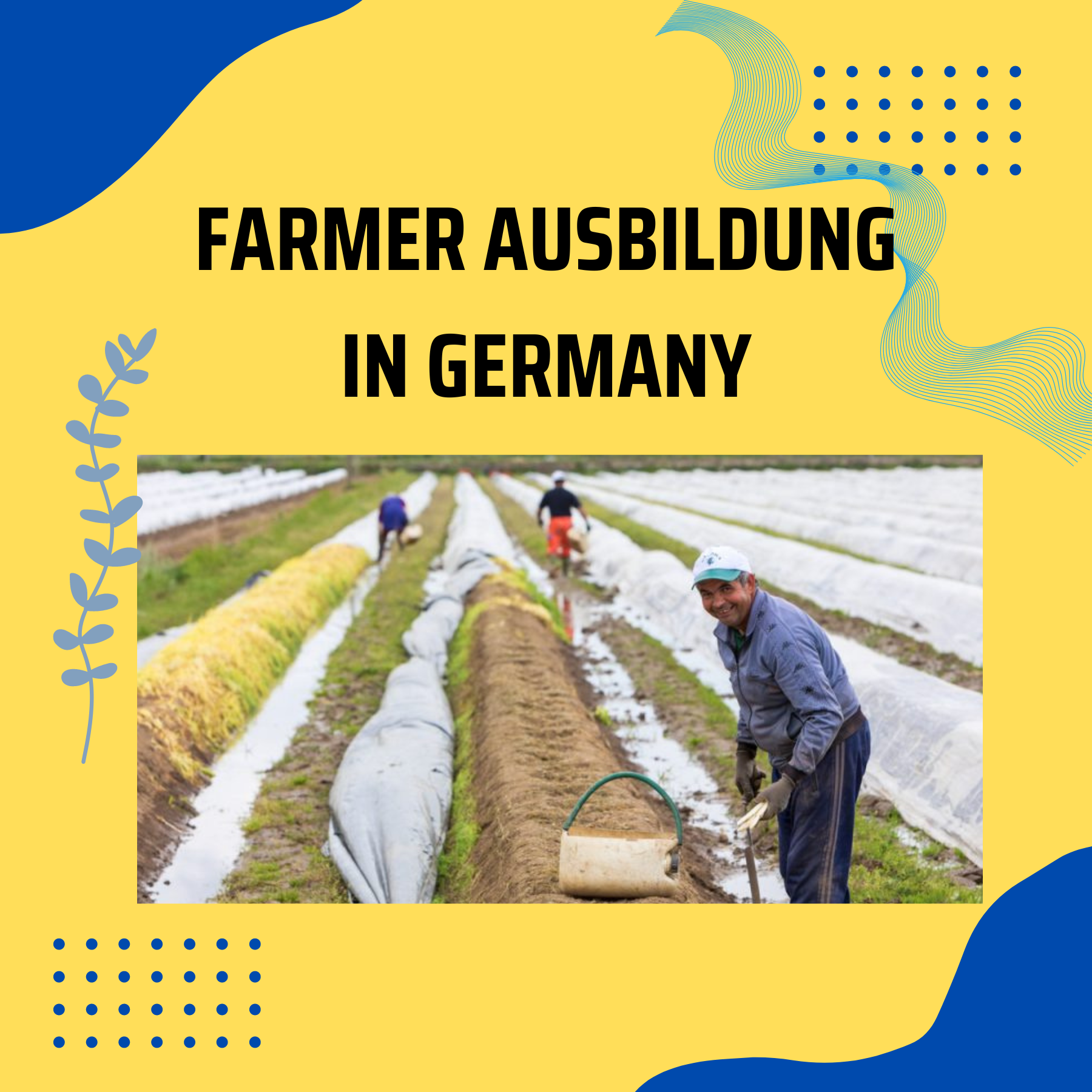 farmer-ausbildung-in-germany-everything-you-need-to-know