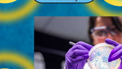 Chemical Laboratory Assistant Ausbildung in Germany.