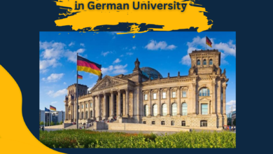 Common Errors of Bachelor's Students in German University