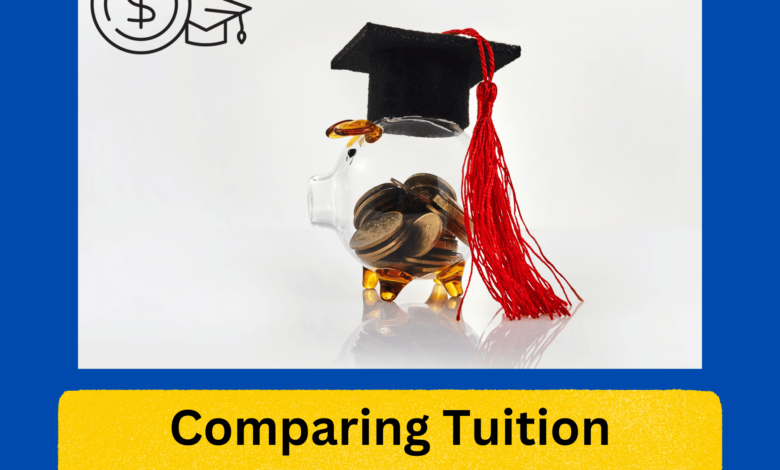 Comparing Tuition Costs Germany vs. US Universities