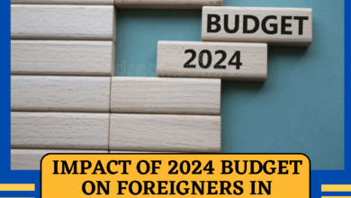 Impact of 2024 Budget on Foreigners in Germany What to Expect