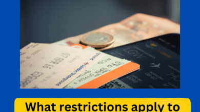 What restrictions apply to the new €29 travel pass in Berlin?