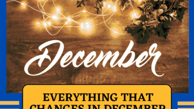 Everything that changes in December 2023 in Germany