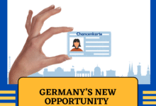Top 5 Job sectors to look out for in Germany in 2025